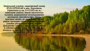 Коростели