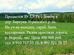 Барсуки