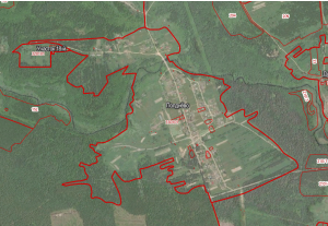 Гурин Полднево