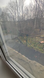 IMG-20231108-WA0013