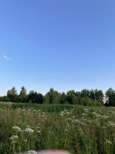 IMG-20240806-WA0004