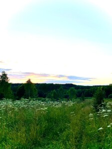 IMG-20240806-WA0005